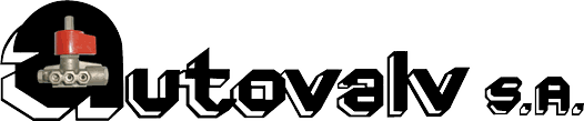 Autovalv S.A.